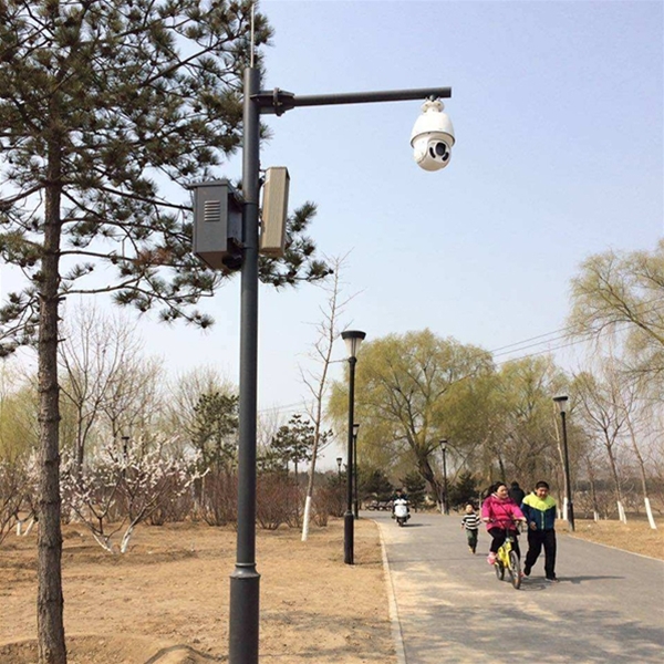 阿合奇路灯监控杆-LB-03