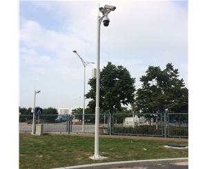 阿合奇道路监控杆-LB-05