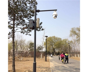 阿合奇路灯监控杆-LB-03